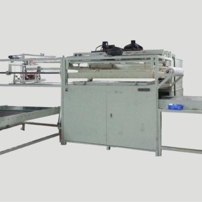 espessura de filme de 2mm vertical contínuo da máquina de empacotamento do vácuo de 18,5 quilowatts