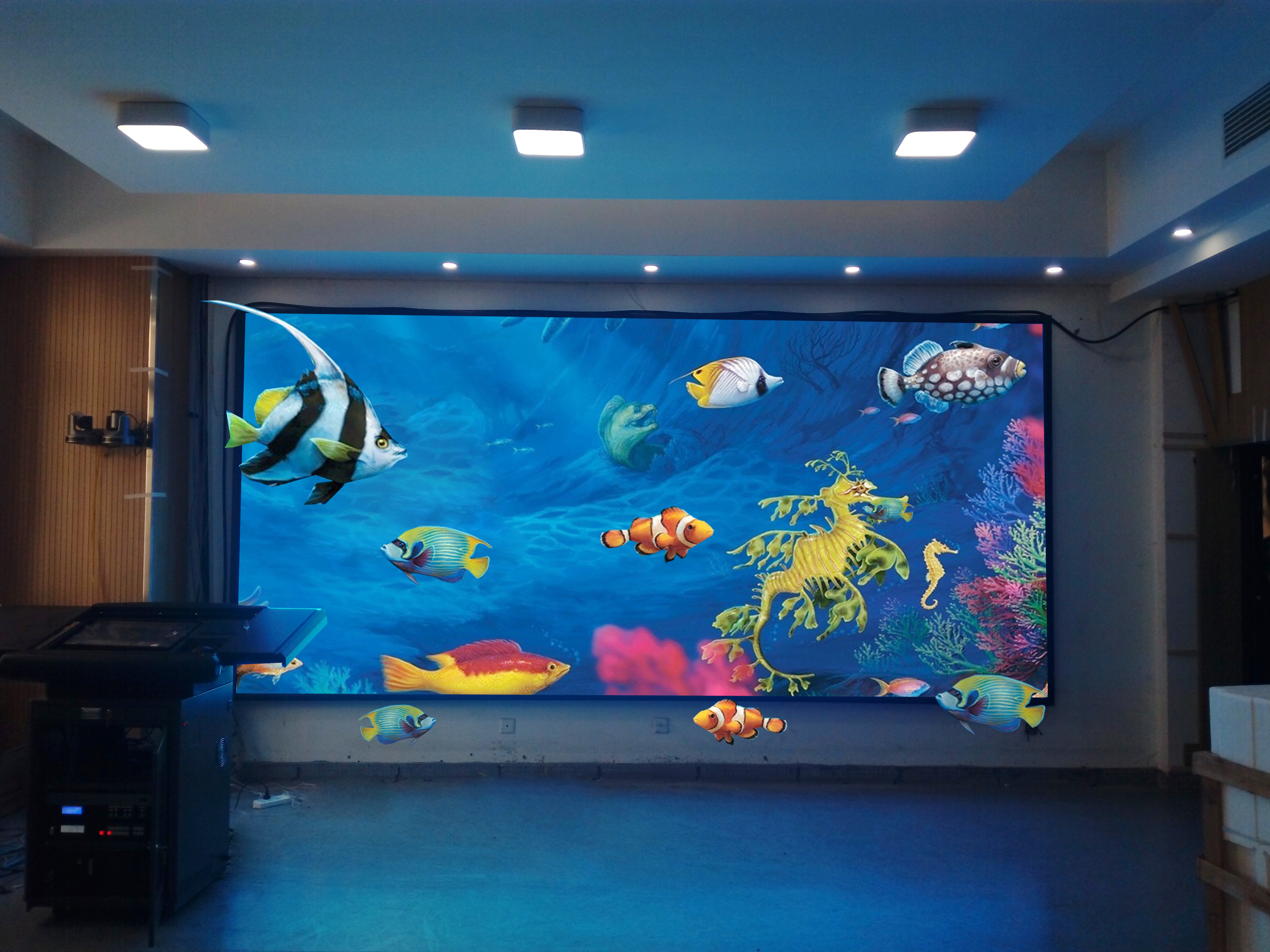Educational Polarized 3D Display Passive Polarization 3D Screen for Classroom Teaching