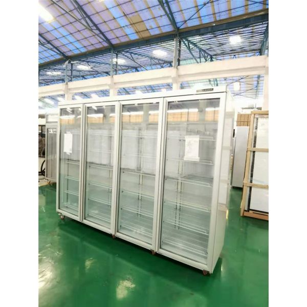 China suppliers cold drink refrigerator/Fan cooling glass door fridge/beverage display cooler