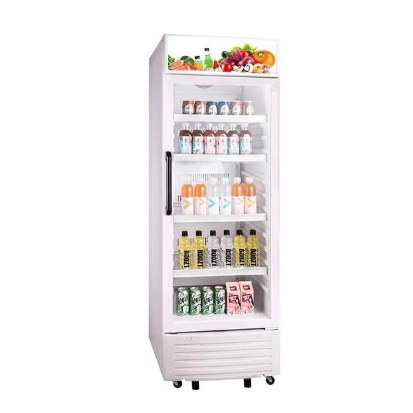 220 - 240V Upright Showcase Cooler With Power Supply 310L Beverage Display Chiller