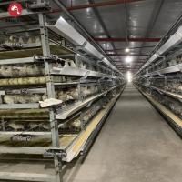 Aço Galvanizado Equipamento para Frangos de Corte H Tipo 10000 Bateria de Aves para Frangos de Corte Gaiola de Frango