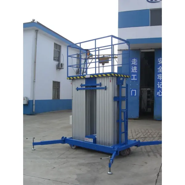 10m Battery or Manual Double Mast Vertical Lift Aluminum Lift Single Person Elevator Electric Lift Ladder