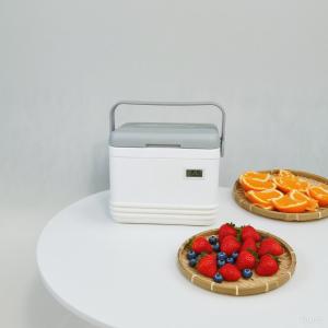 Phefon FS-5L アイスクーラーボックス、キャンプやピクニック用保冷剤付き
