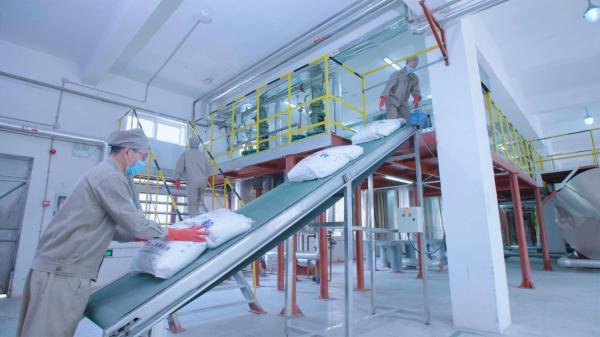 factory direct supply Powdered Hypromellose Acetate Succinate CAS 71138-97-1 for Pharmaceutical Applications