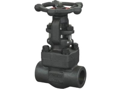 Threaded End Forged Steel Gate Valve 800LB Conventional Port Handwheel Operation