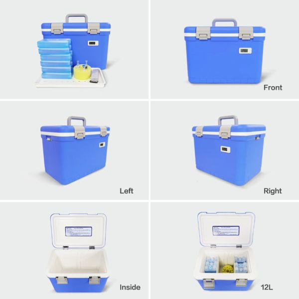 Portable Blood Specimen Cold Chain Cooler Box Includes One Set Ice Packs Ideal For 0-10c Medical Transport Support Customize Color & Logo