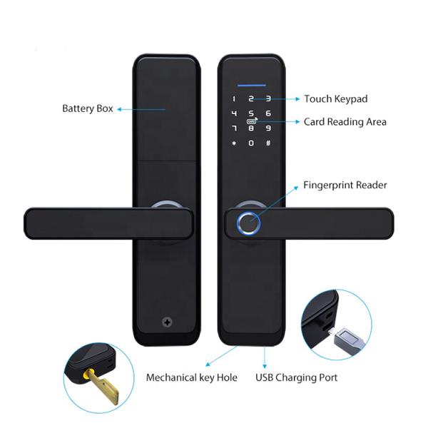 Security Tuya Biometric Fingerprint Lock Compatible For Apartments Office
