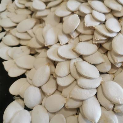 Organic Rosated Snow White Pumpkin Seeds for a Healthy Snack