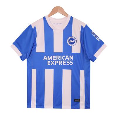 Brighton 2025-2026 Home Fan Jersey - Customizable Unisex Polyester