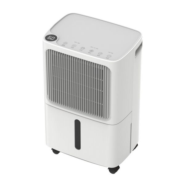 12 l/day Mobile Home Air Dehumidifier Visible Humidify Value Digital Control