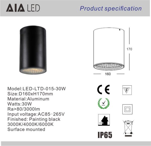 IP65 led surface mounted downlight 30W led down light &exterior downlight  for bathroom