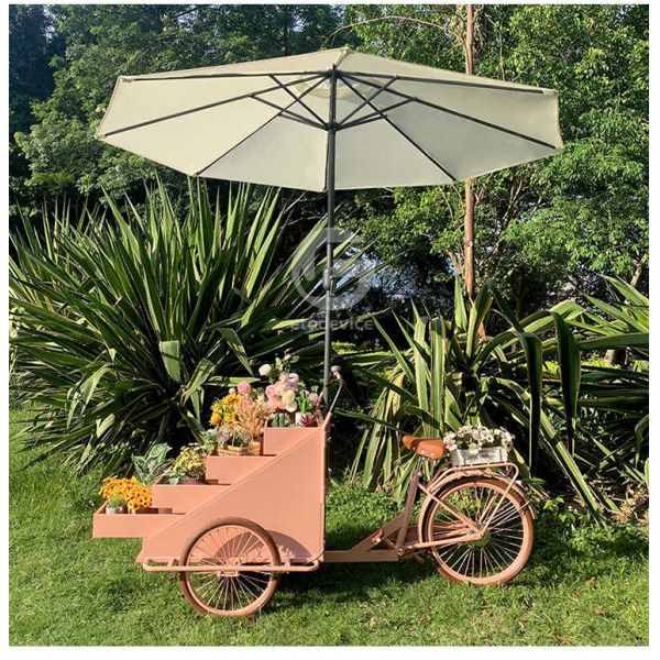 Vegetable Processing Plant Mobile Coffee Bike Cart with L200.00cm*W95.00cm*H110.00cm