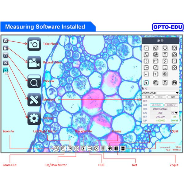 Portable 1600x Magnification 2.0x2.0um Digital Lcd Microscope