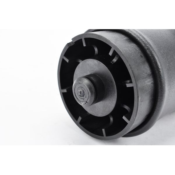 Amortiguación de aire con resorte 37121095579 37121095580 de la parte posterior de X5 E53 con ISO9001