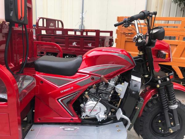 Standard Size Motorized Tricycles 800kg Loading Capacity for Your Business Needs
