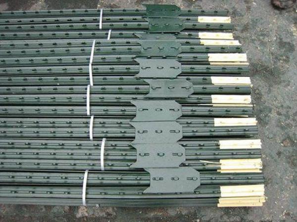 BBQ Area Chain Link Fence Fire Safety