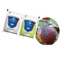 Tratamento de Doenças Fúngicas Controle Blast de Arroz 37% Difenoconazol 25% Azoxiestrobina Fungicida