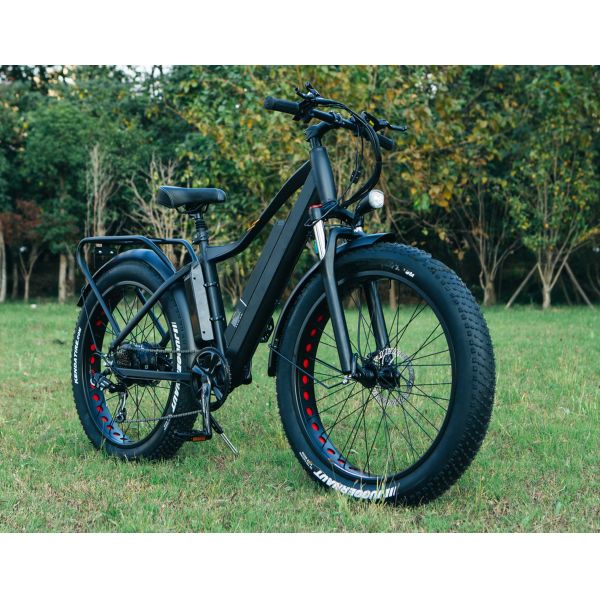 48V 1000W 17AH Lithium Battery OEM EN15194 CE Customized Electric MTB Mountain Fat Tire Bike