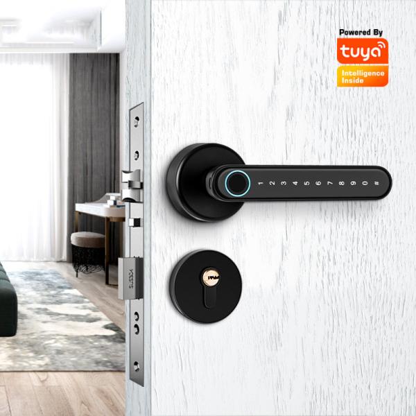 Serrure de porte biométrique Keyless d'empreinte digitale de système de Smart Home