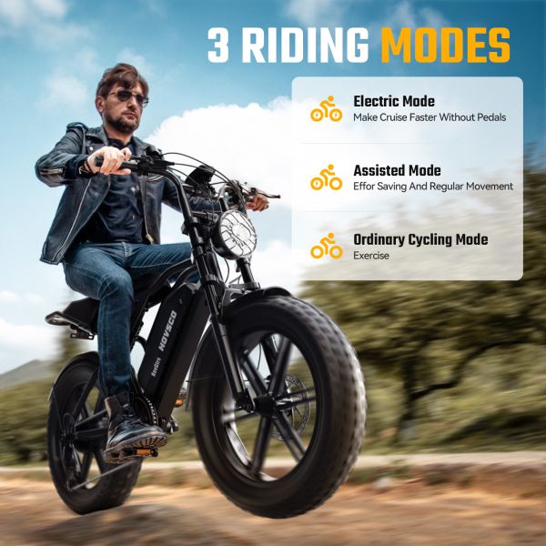 EU Stock 20 Inch Fat Tire E Bike 48V 15AH Electric Bike Vintage Off-Road E-Bike Hydraulic Disc Brakes E Bike
