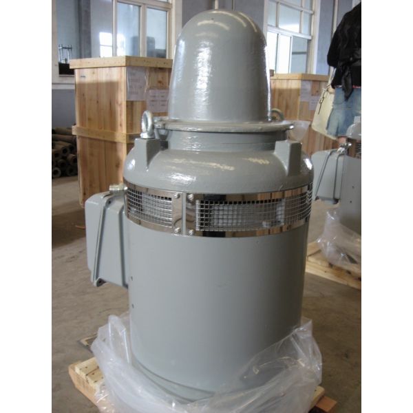 NEMA/IEC Standard 100HP~600HP Vertical Hollow Shaft Electric Vhs Motors and Deep Well Pump Motor