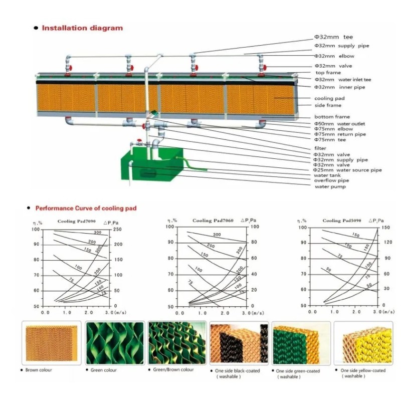 Fully-Automatic Poultry Farm Equipment with Hot-Dip Galvanized Steel and Negative Pressure Ventilation