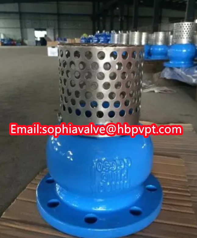 JIS ANSI 125LB cast iron flanged foot valve