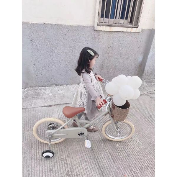 Alloy Rim INS Style 16 Inch Retro Children's Bicycle Single Speed for 4-8 Year Old Kids
