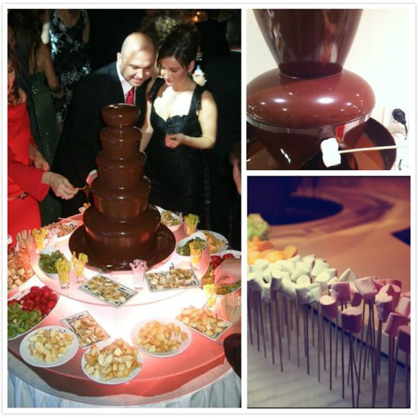 Chocolate Fountain Machine 14KG Digital Display Control for Bakery Professionals