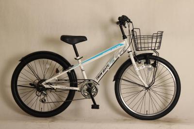 20/22/24 Inch MTB mountain bikes SHIMANO 6 velocidades de bicicleta estudante
