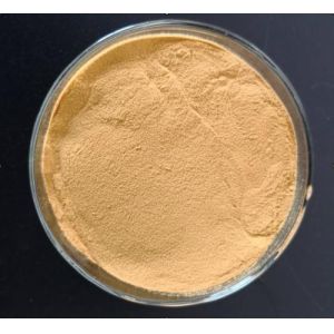Food Chitosan Oligosaccharide