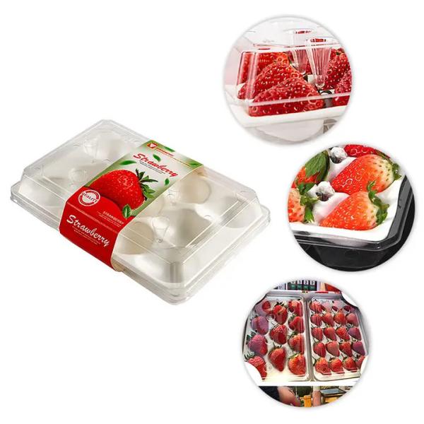 Wholesale Transparent Fresh Strawberry Packaging Container Supermarket Food Plastic Box Plastic Strawberry Packing Box