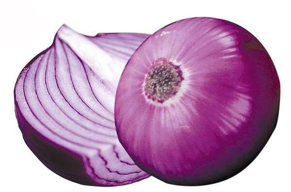 Water Soluble Red Onion Organic Vegetable Powder For Pharmaceutical