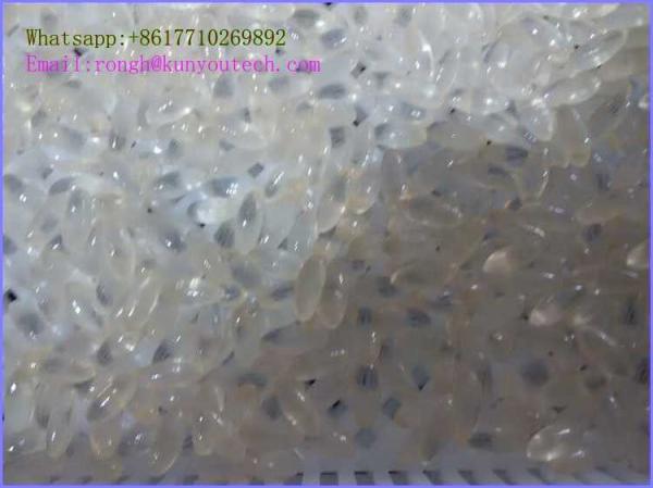 Food Grade Plastic Drying Trays Pharmaceutical Drying For Softgel Capsules and paintball