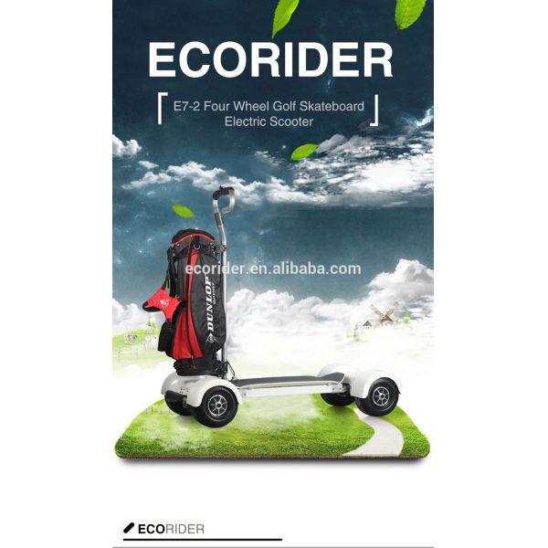 EcoRider 1000w 4 Wheel Skateboard Golf Electric Scooter Long Board CE Certificated