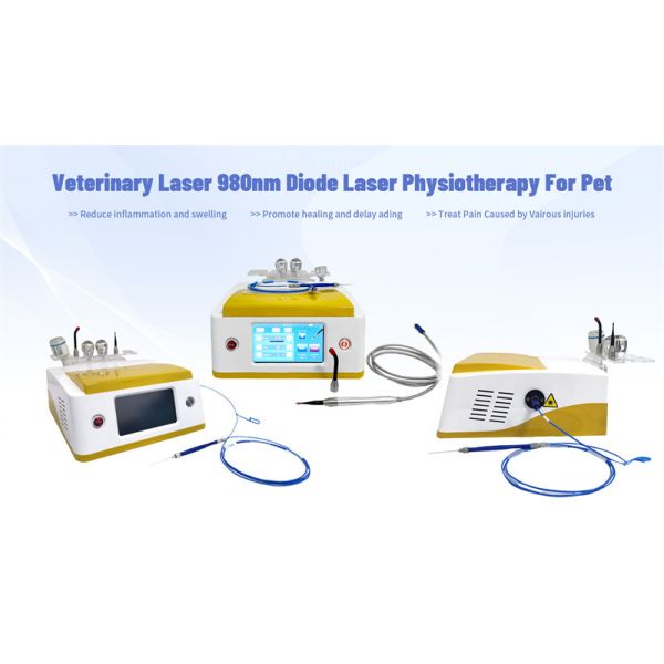 терапия лазера диода 980nm ветеринарная для лечения любимцев обветренного