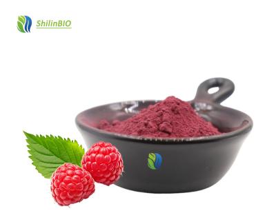 Manufacturer Supply Raspberry Fruit Powder Raspberry Extract Powder Freeze Dried Raspberry Powder with Good Price