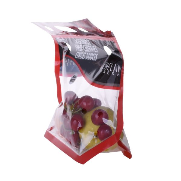 Printing OPP Zipper Food Grade Plastic Packaging Bags for For Fresh Fruit and Vegetables with Holes and Hanger