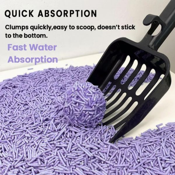 Lavande sans poussière Litter de chat 100% formule naturelle haute absorbance fortement agglomération