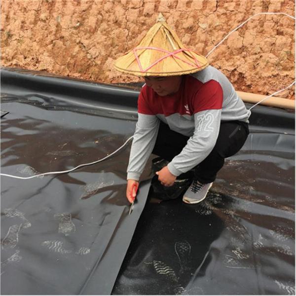 0.2mm-3mm Thickness HDPE Geomembrane for Pond Liner and Biofloc Tank