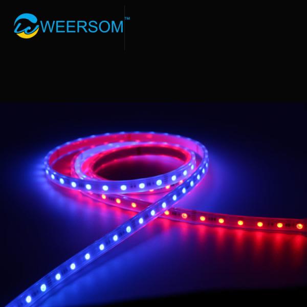 Customize Digital LED Strip 5000mm Length DC5V DC12V DC24V IP68