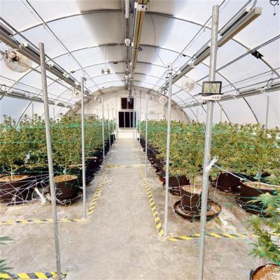 Одиночная светомаскировка пяди затеняя парник 10-100M лишения света