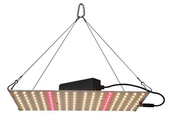 3500K LED Plant Growth Lamp Lm301b  3x3 Led Grow Tent Kit 128 Top Bin