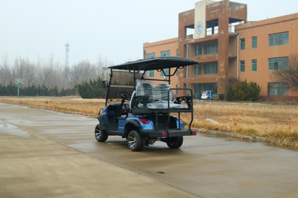 Bleu 2 + 2 sièges Luxe chariot de golf électrique personnalisé couleur et logo avec batterie au lithium pour divers scénarios tels que les lieux pittoresques et le club