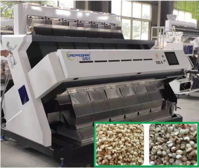 Máquina do classificador da cor do CCD de 384 canais, máquina de classificação do núcleo da cevada de 5400 pixéis