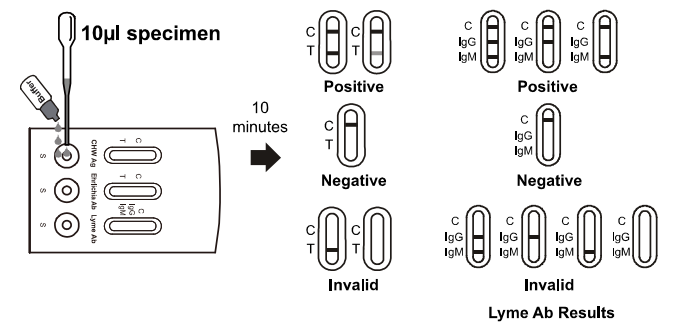 CHW Antigen Ehrlichia Antibody Combo Rapid Test Cassette Whole Blood
