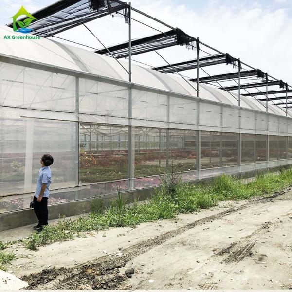 Estufa de aço galvanizada quente do filme plástico para agrícola