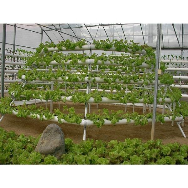 Customizable Electricity Vertical Hydroponic System For Indoor Plant Growing