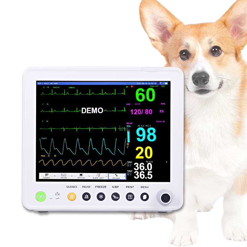 Портативная ветеринарная машина ECG с электропитанием Battery/AC
