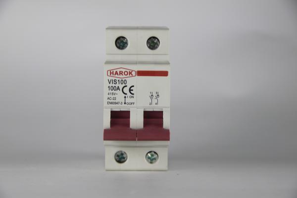 Vis100 2p 80a Main Switch Isolating Circuit Breaker Household Function Disconnector Isolator 32a 63a 100a